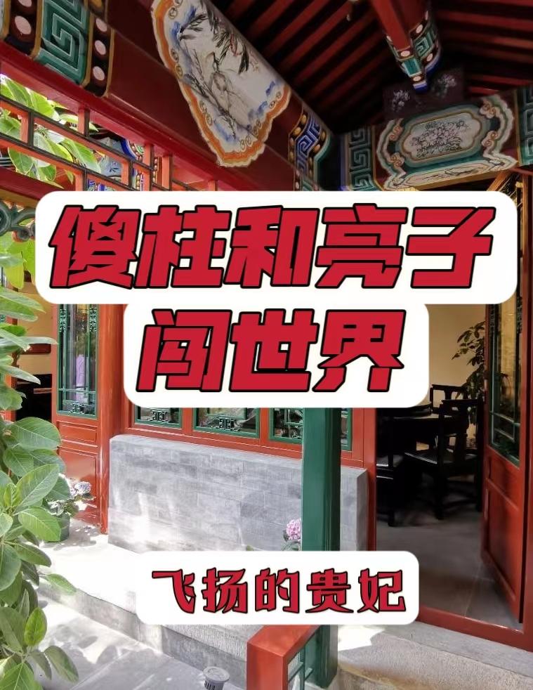 傻柱和亮子在四合院